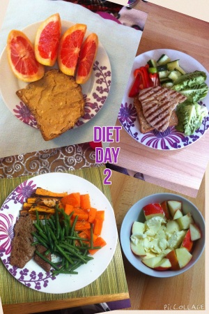 Diet day 2